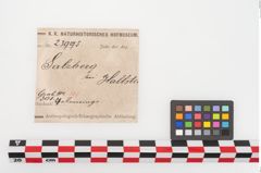 Etiketten zu Bronzearmreif (NHMW-PRAE-023995)